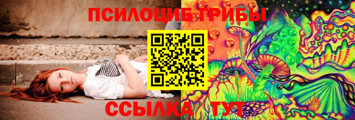 Аргун  Псилоцибиновые грибы ЛСД  Псилоцибиновые грибы Psilocybe  Вход с VPN 