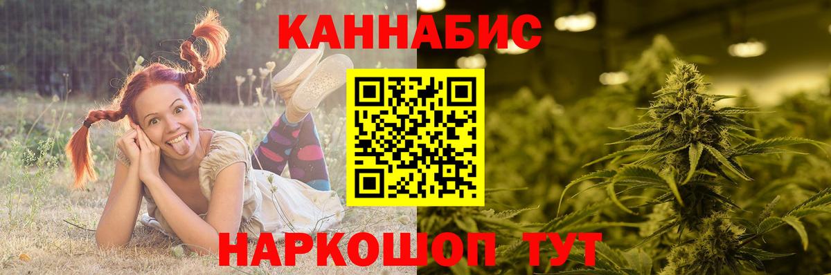 Марихуана план Аргун